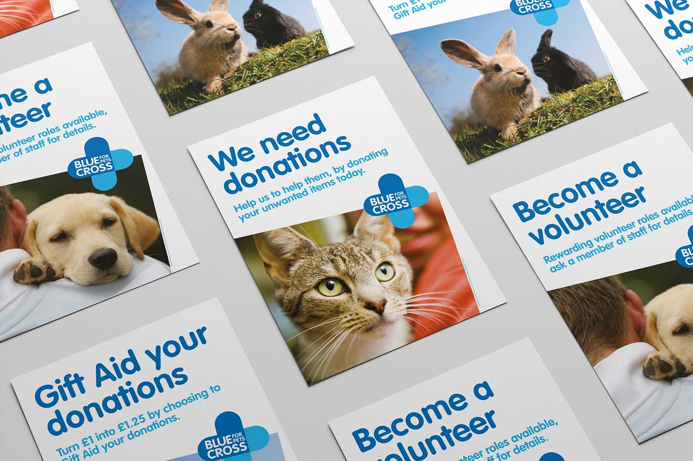 Blue Cross Promotional Flyers