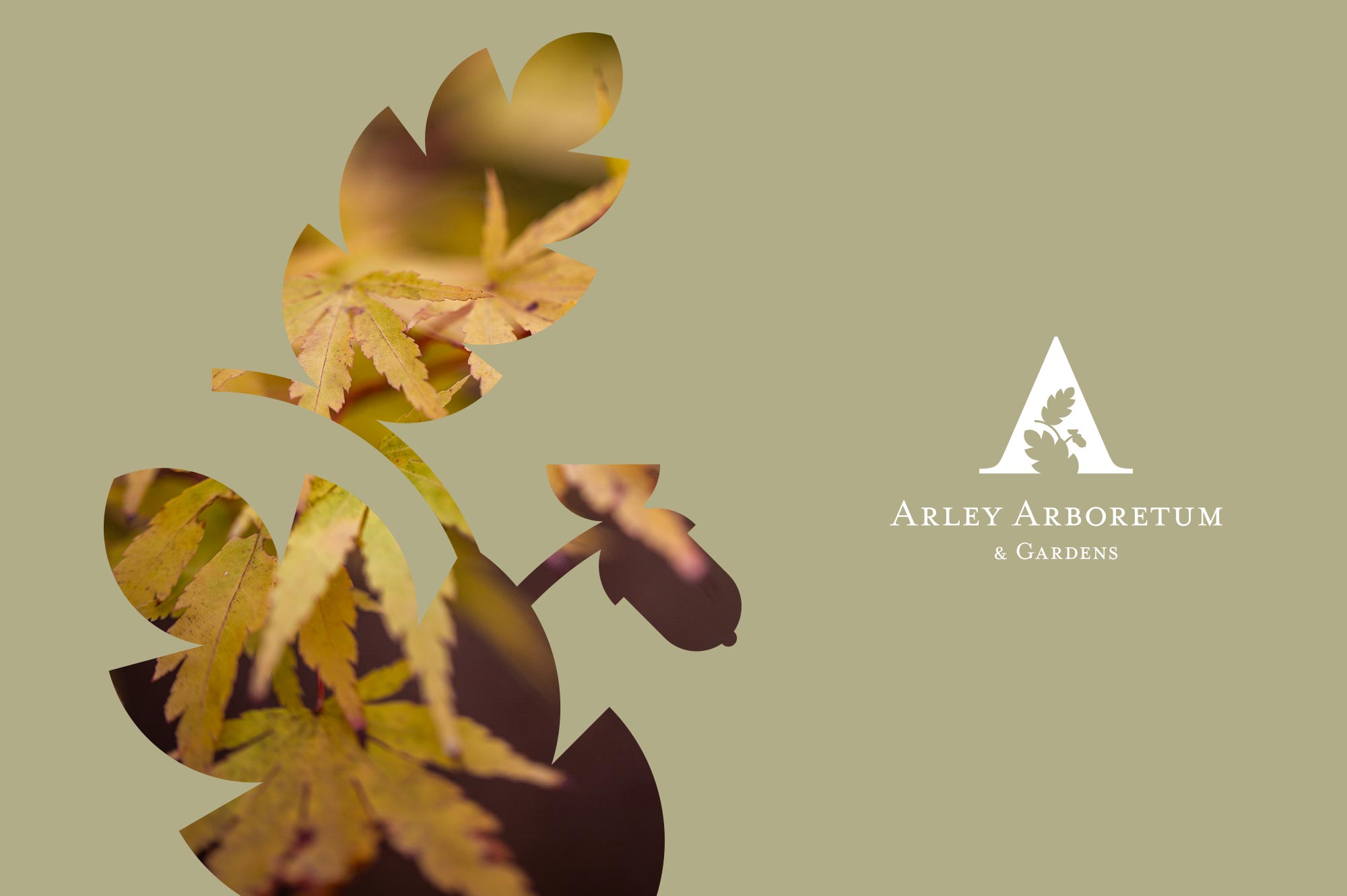 Arley Arboretum Leaf Icon