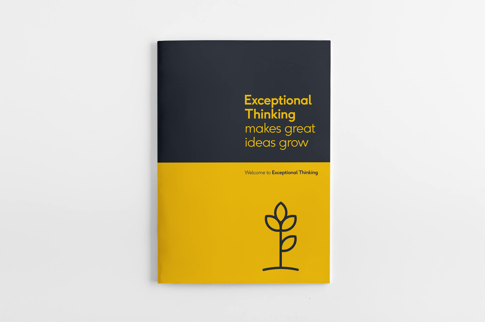 Exceptional Thinking Booklet